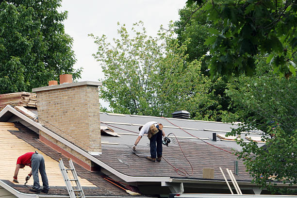 Roof Installation Near Me in Lexington, MI