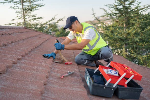 Best Roof Restoration Services  in Lexington, MI