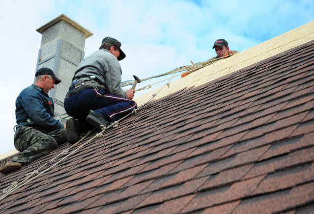Best Shingle Roofing Installation  in Lexington, MI