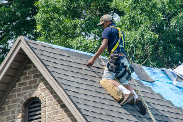 Best Residential Roofing Contractor  in Lexington, MI